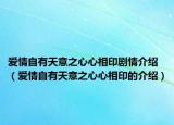 爱情自有天意之心心相印剧情介绍（爱情自有天意之心心相印的介绍）