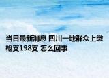 当日最新消息 四川一地群众上缴枪支198支 怎么回事