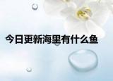 今日更新海里有什么鱼