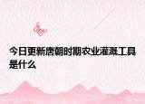 今日更新唐朝时期农业灌溉工具是什么