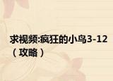 求视频:疯狂的小鸟3-12（攻略）