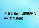 今日更新cmd在哪里(cmd怎么查看)