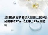 当日最新消息 猪价大范围上涨多地猪价冲破12元 马上冲上13元真的吗