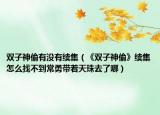 双子神偷有没有续集（《双子神偷》续集怎么找不到常勇带着天珠去了哪）