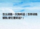 怎么训练一只狗听话（怎样训练狼狗,使它更听话?）