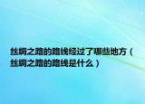 丝绸之路的路线经过了哪些地方（丝绸之路的路线是什么）