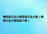 哪吒是三头六臂还是三头六臂（哪咤三头六臂还是八臂）