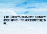 支票打印机软件不能输入数字（所有软件都可以用只有一个以诚支票打印软件打不开）