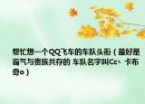 帮忙想一个QQ飞车的车队头衔（最好是霸气与贵族共存的 车队名字叫Cc丶卡布奇o）