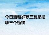 今日更新岁寒三友是指哪三个植物