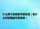 什么牌子的隔音耳塞好用（有什么好的隔音耳塞推荐）