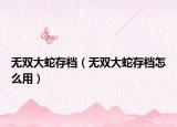 无双大蛇存档（无双大蛇存档怎么用）