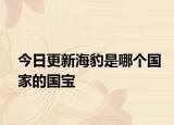 今日更新海豹是哪个国家的国宝