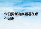 今日更新海底隧道在哪个城市