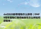 dnf2020新春宠物怎么获得（DNF9周年宠物灯笼萌娃属性怎么样如何获取呢）