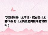 肉桂到底是什么味道（或者像什么的味道 有什么典型的肉桂味的食物吗）