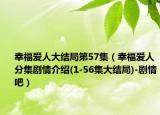 幸福爱人大结局第57集（幸福爱人分集剧情介绍(1-56集大结局)-剧情吧）