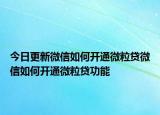 今日更新微信如何开通微粒贷微信如何开通微粒贷功能