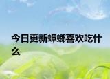 今日更新蟑螂喜欢吃什么