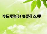 今日更新赶海是什么梗