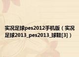 实况足球pes2012手机版（实况足球2013_pes2013_球鞋[3]）