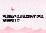 今日更新凤凰是哪里的(湖北凤凰古城在哪个市)