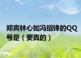 郑爽林心如冯绍锋的QQ号是（要真的）