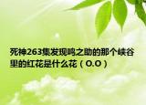 死神263集发现鸣之助的那个峡谷里的红花是什么花（O.O）