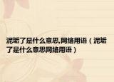 泥垢了是什么意思,网络用语（泥垢了是什么意思网络用语）