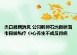 当日最新消息 公园鹅卵石地面躺满市民做热疗 小心养生不成反得病