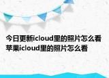 今日更新icloud里的照片怎么看 苹果icloud里的照片怎么看