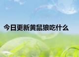 今日更新黄鼠狼吃什么
