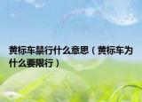黄标车禁行什么意思（黄标车为什么要限行）