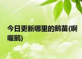 今日更新哪里的鹅苗(啊喔鹅)