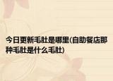 今日更新毛肚是哪里(自助餐店那种毛肚是什么毛肚)