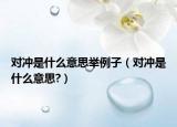 对冲是什么意思举例子（对冲是什么意思?）