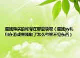 魔域购买的帐号在哪里领取（魔域yy礼包在游戏里领取了怎么号里不见东西）