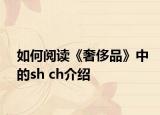 如何阅读《奢侈品》中的sh ch介绍