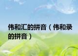 伟和汇的拼音（伟和录的拼音）