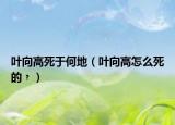 叶向高死于何地（叶向高怎么死的﹖）