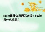 style是什么意思怎么读（style是什么意思）