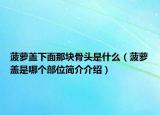菠萝盖下面那块骨头是什么（菠萝盖是哪个部位简介介绍）