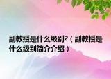 副教授是什么级别?（副教授是什么级别简介介绍）