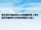 野火烧不尽春风吹又生的理解意思（野火烧不尽春风吹又生的意思简介介绍）