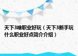 天下3啥职业好玩（天下3新手玩什么职业好点简介介绍）