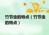 竹节虫的特点（竹节虫的特点）