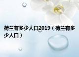 荷兰有多少人口2019（荷兰有多少人口）
