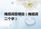 掩组词是哪些（掩组词二个字）