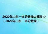 2020年山东一本分数线大概多少（2020年山东一本分数线）