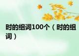 时的组词100个（时的组词）